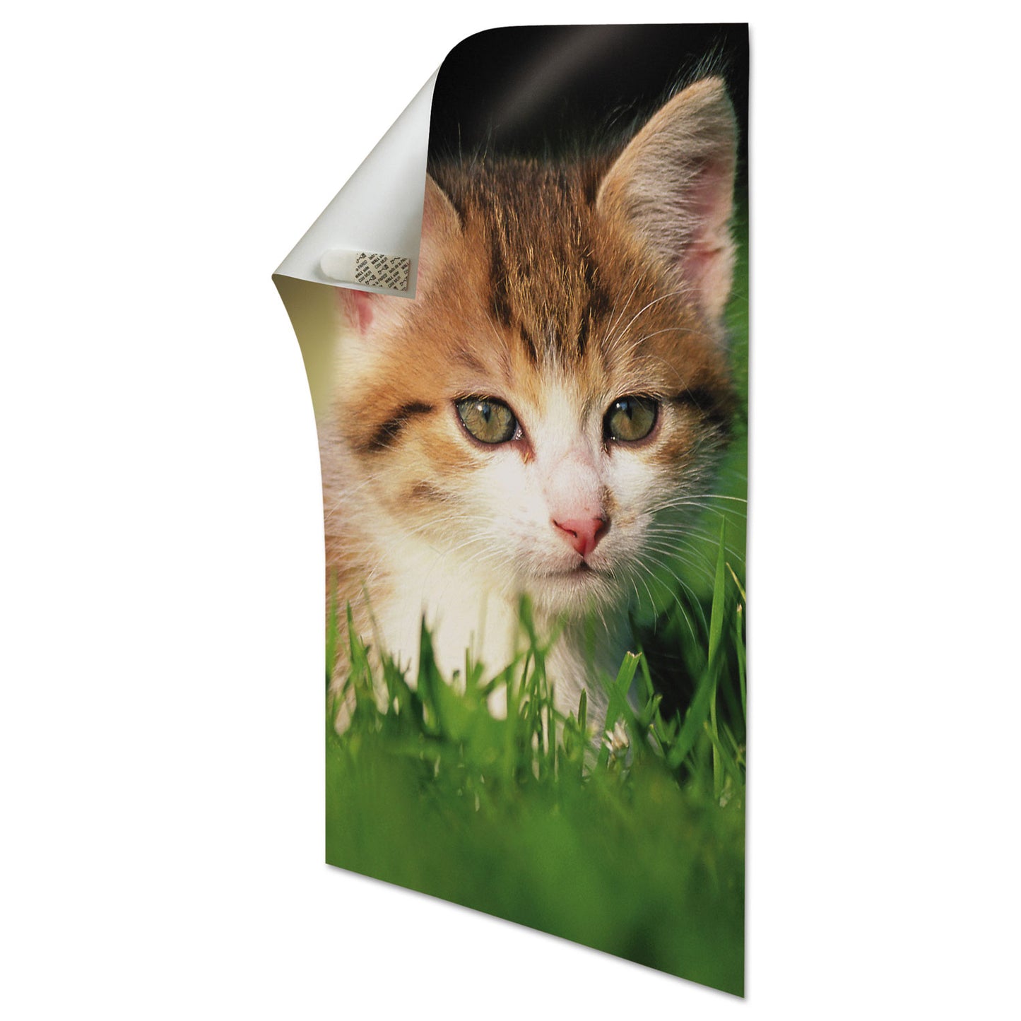 Command Poster Hanging Strips, 12 Strips, White, 5/8" x 1 3/4" Holds Strongly