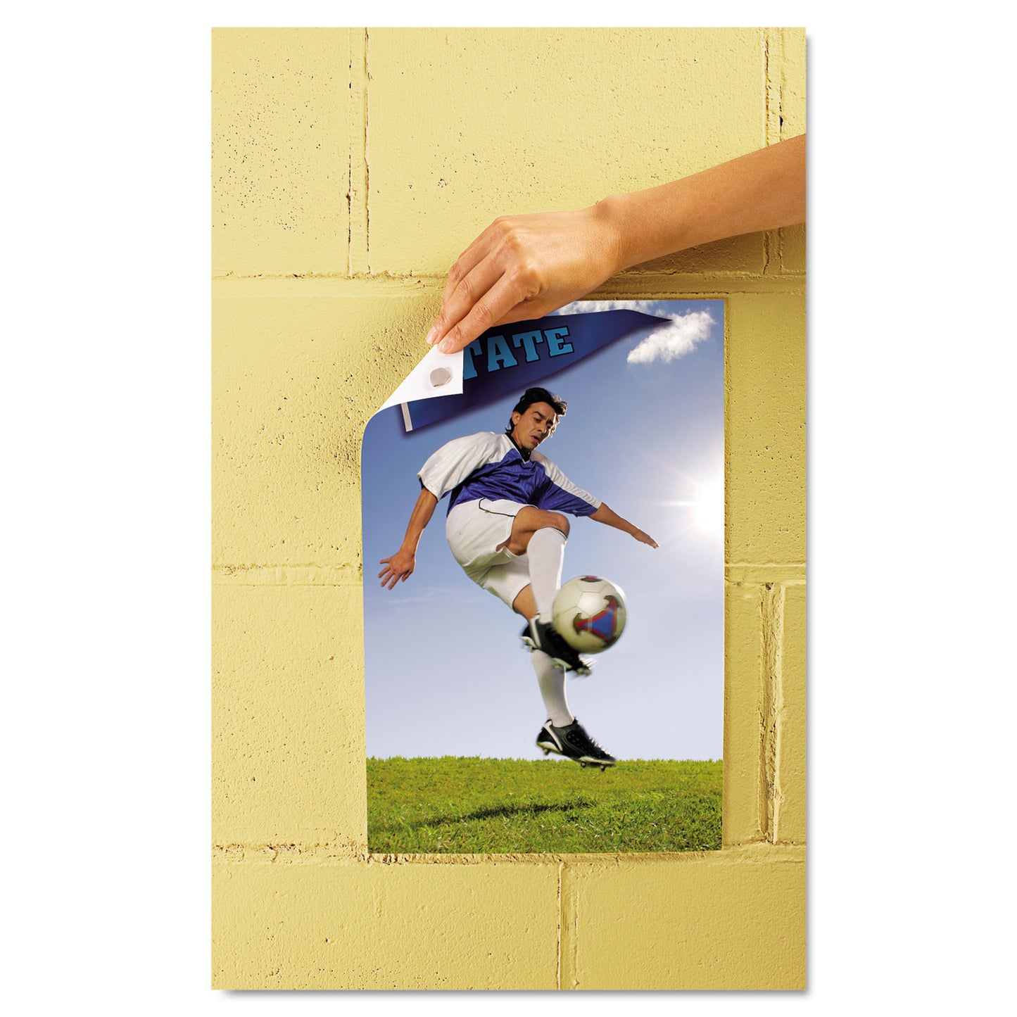 Scotch Adhesive Putty, Nontoxic, 2 oz, Artwork, Photos Paper and many more