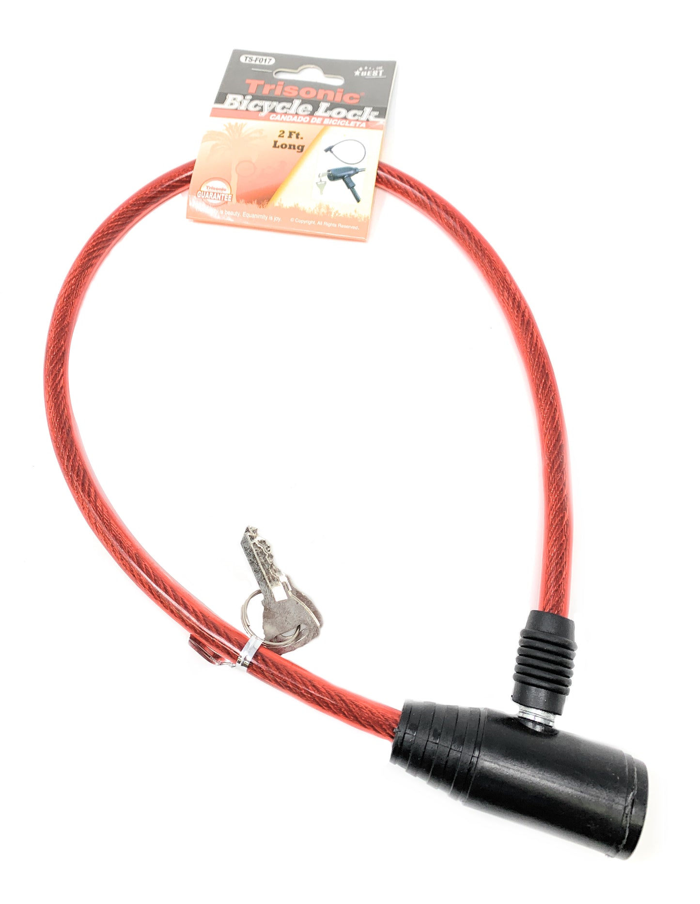 Cable Bicycle Lock Keyed Type with 2 Keys, 2 Ft Long Security Cable Lock Heavy Duty Anti-Theft - Random Color